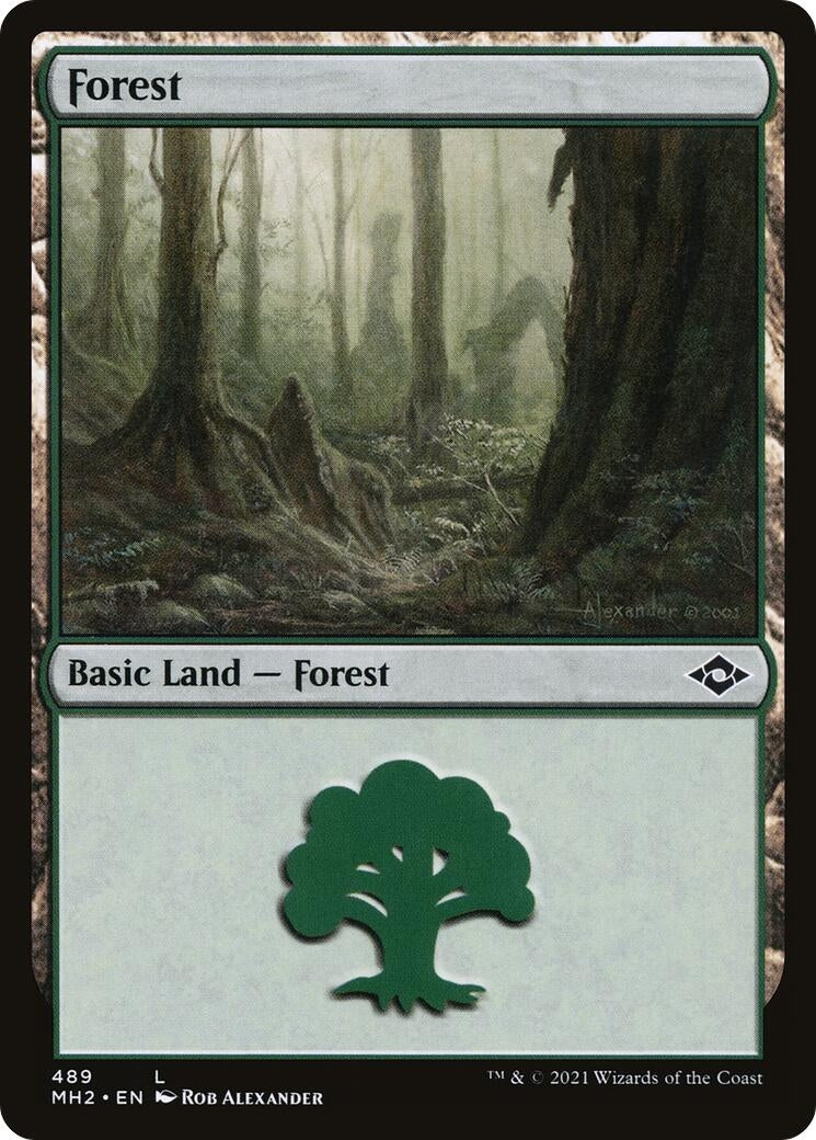 Image for Forest (489) (489) (Modern Horizons 2) (MH2) - Magic: The Gathering