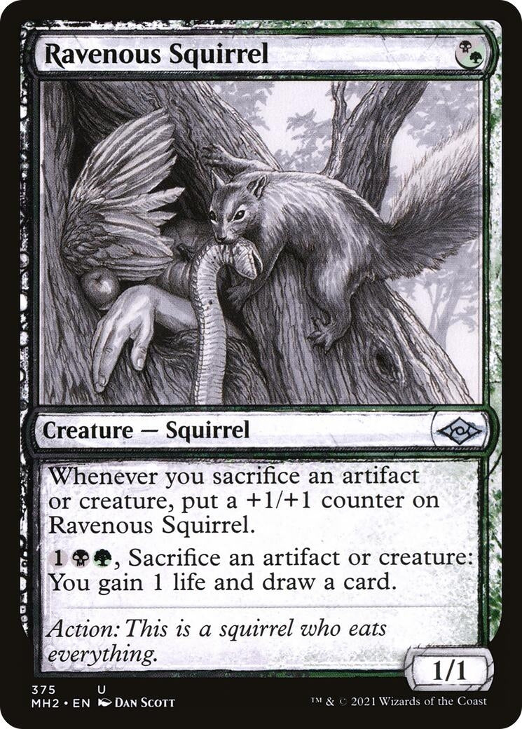 Image for Ravenous Squirrel (Showcase) (375) (Modern Horizons 2) (MH2) - Magic: The Gathering