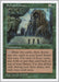 Image for Sylvan Library (Fifth Edition) (5ED) - Magic: The Gathering