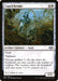 Image for Caprichrome (9) (Modern Horizons 2) (MH2) - Magic: The Gathering