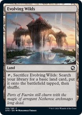 Image for Evolving Wilds (256) (AFR) - Magic: The Gathering