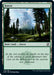 Image for Forest (278) (278) (AFR) - Magic: The Gathering