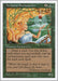 Image for Verduran Enchantress (Fifth Edition) (5ED) - Magic: The Gathering
