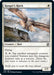Image for Ranger's Hawk (37) (AFR) - Magic: The Gathering