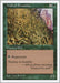 Image for Wall of Brambles (Fifth Edition) (5ED) - Magic: The Gathering