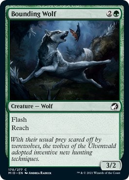 Image for Bounding Wolf (170) (Innistrad: Midnight Hunt) (MID) - Magic: The Gathering