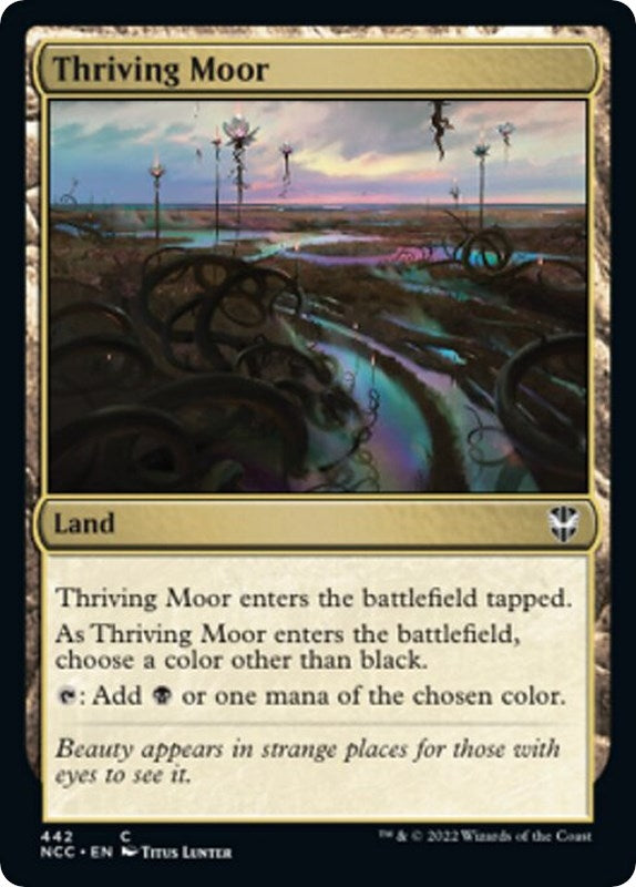 Image for Thriving Moor (442) - Magic: The Gathering