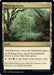 Image for Thriving Grove (439) - Magic: The Gathering