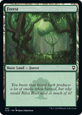 Image for Forest (467) (467) - Magic: The Gathering