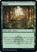 Image for Forest (470) (470) - Magic: The Gathering