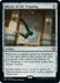 Image for Mirror of Life Trapping (326) - Magic: The Gathering