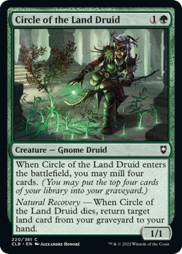 Image for Circle of the Land Druid (220) - Magic: The Gathering
