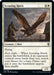 Image for Scouting Hawk (41) - Magic: The Gathering