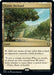 Image for Exotic Orchard (893) - Magic: The Gathering