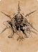 Image for Bhaal, Lord of Murder Art Card (63) - Magic: The Gathering