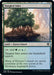 Image for Tangled Islet (258) - Magic: The Gathering
