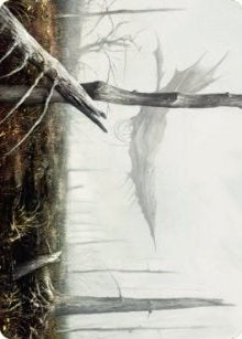 Image for Swamp Art Card (64) - Magic: The Gathering