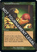 Image for Natural Selection (Retro Frame) (505) - Magic: The Gathering