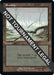 Image for Swamp (586) (Retro Frame) (586) - Magic: The Gathering