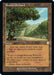 Image for Exotic Orchard (Retro Frame) (185) - Magic: The Gathering