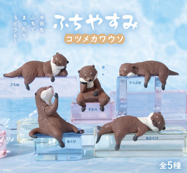 Otters Resting On The Edge Blind Box