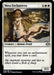 Image for Mesa Enchantress (14) - Magic: The Gathering