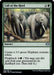 Image for Call of the Herd (153) - Magic: The Gathering