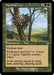 Image for Squirrel Nest (Retro Frame) (349) - Magic: The Gathering