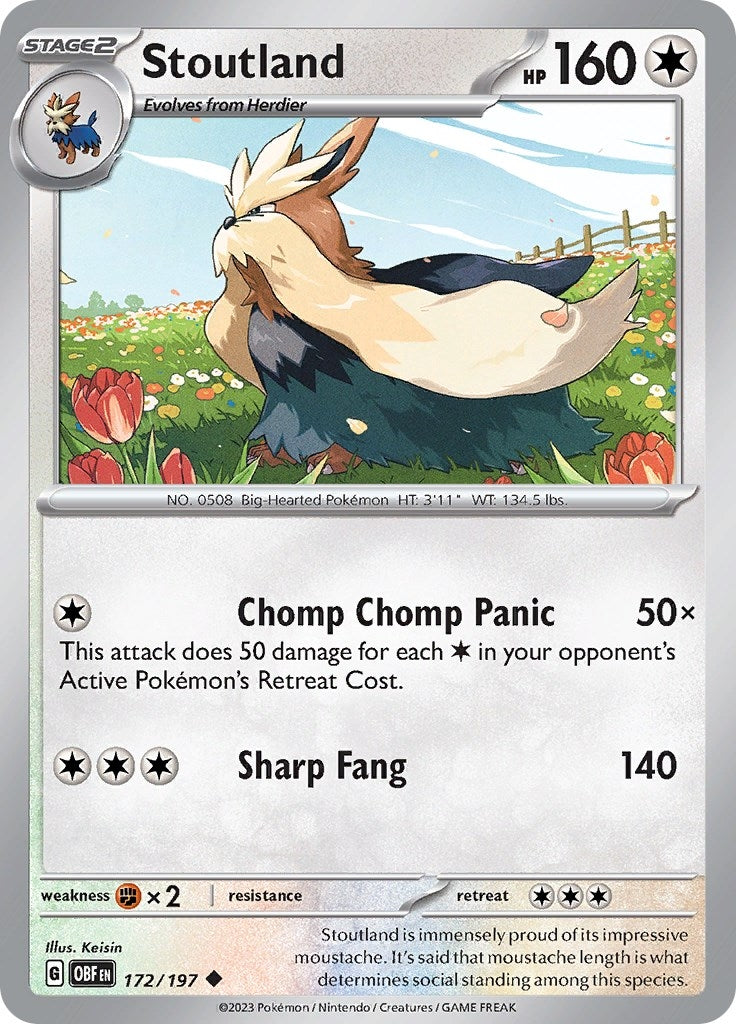Image for Stoutland (172/197) (SV03: Obsidian Flames) (OBF) - Pokemon