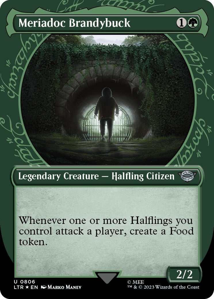 Image for Meriadoc Brandybuck (Showcase) (Surge Foil) (806) (LTR) - Magic: The Gathering