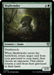Image for Skullwinder (207) - Magic: The Gathering