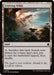 Image for Evolving Wilds (262) (Foundations) - Magic: The Gathering