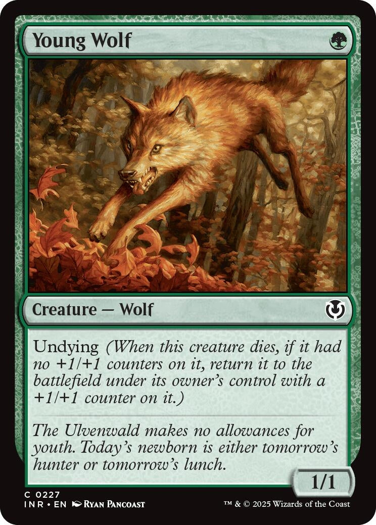 Image for Young Wolf (227) (Innistrad Remastered) (INR) - Magic: The Gathering