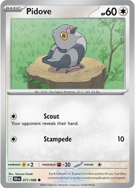 Image for Pidove (071/086) (BLK) - Pokemon