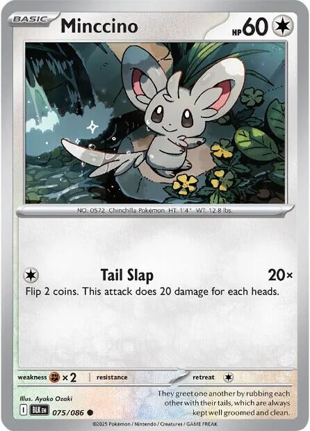 Image for Minccino (075/086) (BLK) - Pokemon