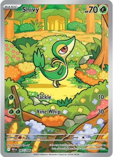 Image for Snivy (087/086) (BLK) - Pokemon
