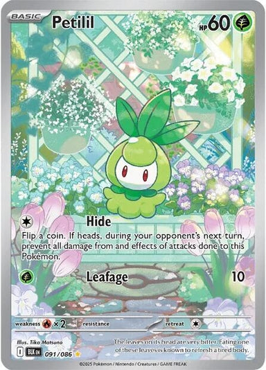 Image for Petilil (091/086) (BLK) - Pokemon
