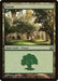 Image for Forest (271) (271) (Return to Ravnica) - Magic: The Gathering