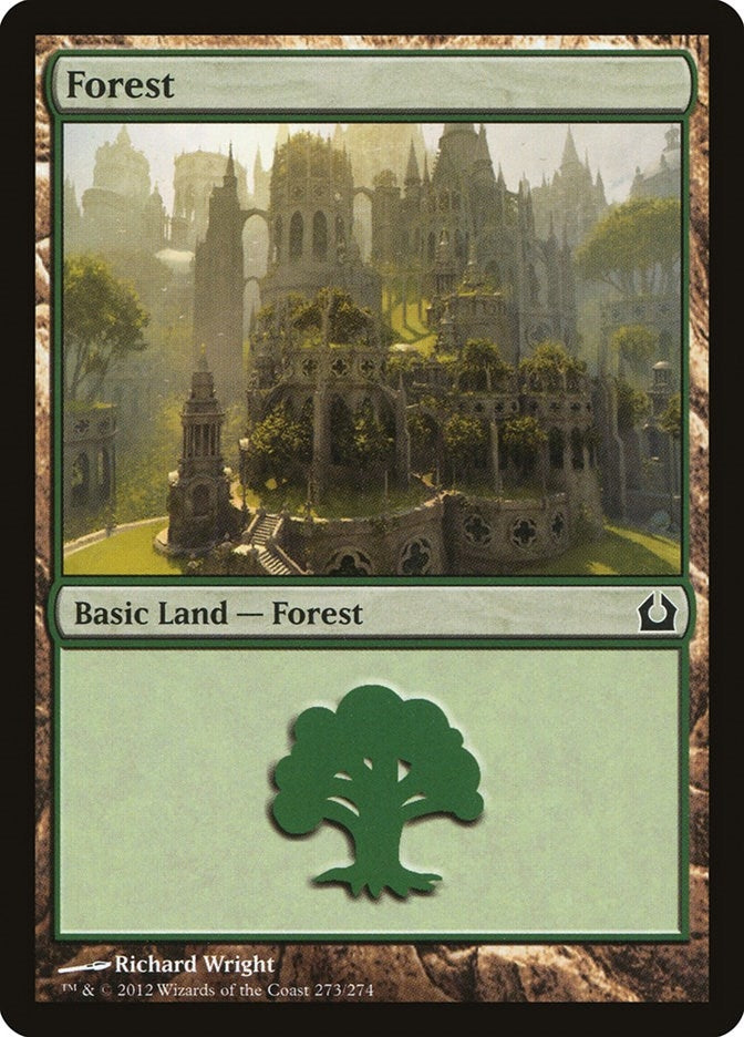 Image for Forest (273) (273) (Return to Ravnica) - Magic: The Gathering