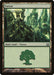 Image for Forest (274) (274) (Return to Ravnica) - Magic: The Gathering