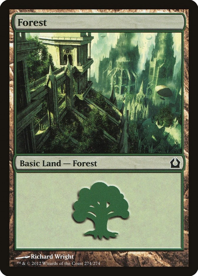 Image for Forest (274) (274) (Return to Ravnica) - Magic: The Gathering