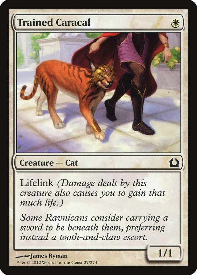 Image for Trained Caracal (27) (Return to Ravnica) - Magic: The Gathering