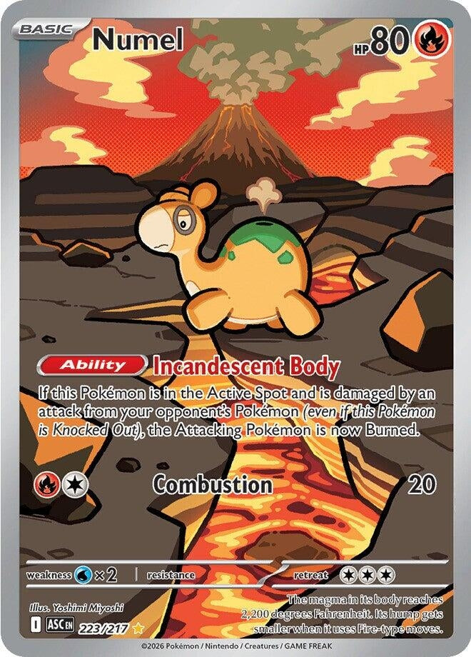 Image for Numel (223/217) (ME: Ascended Heroes) - Pokemon