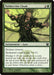 Image for Moldervine Cloak (155) (Modern Masters) - Magic: The Gathering