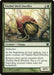 Image for Thallid Shell-Dweller (169) (Modern Masters) - Magic: The Gathering