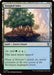 Image for Tangled Islet (411) (Secrets of Strixhaven) - Magic: The Gathering