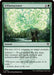 Image for Efflorescence (144) (Secrets of Strixhaven) - Magic: The Gathering