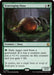 Image for Scavenging Ooze (227) (Commander: Foundations) (FDC) - Magic: The Gathering