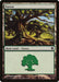 Image for Forest (353) (353) (Commander 2013) (C13) - Magic: The Gathering
