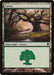 Image for Forest (356) (356) (Commander 2013) (C13) - Magic: The Gathering